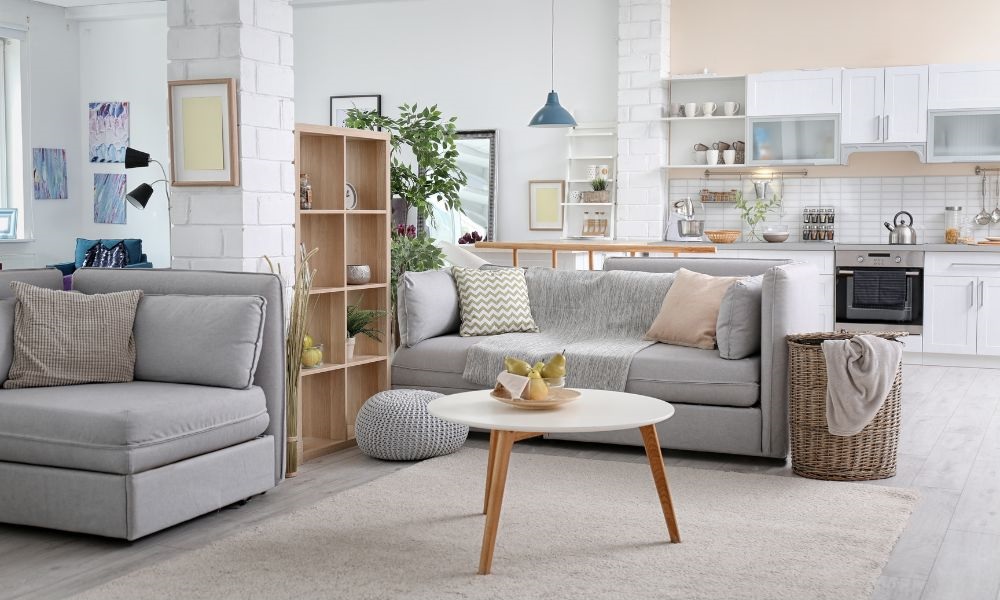 Blog Image with two sofas and a tea table
